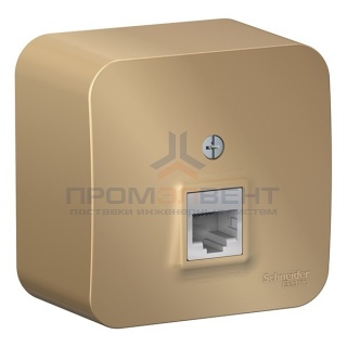 Розетка компьютерная RJ45 кат.5E Blanca Schneider Electric титан изол.пластина